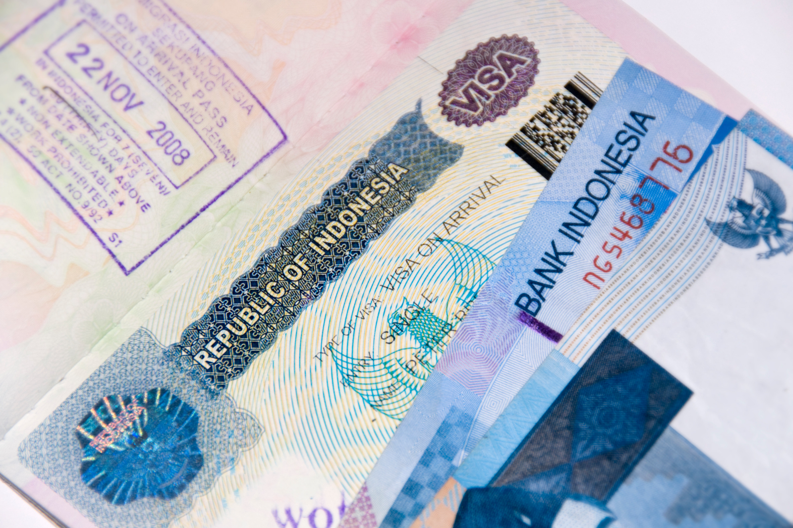 B1 Tourist e-Visa Assistance